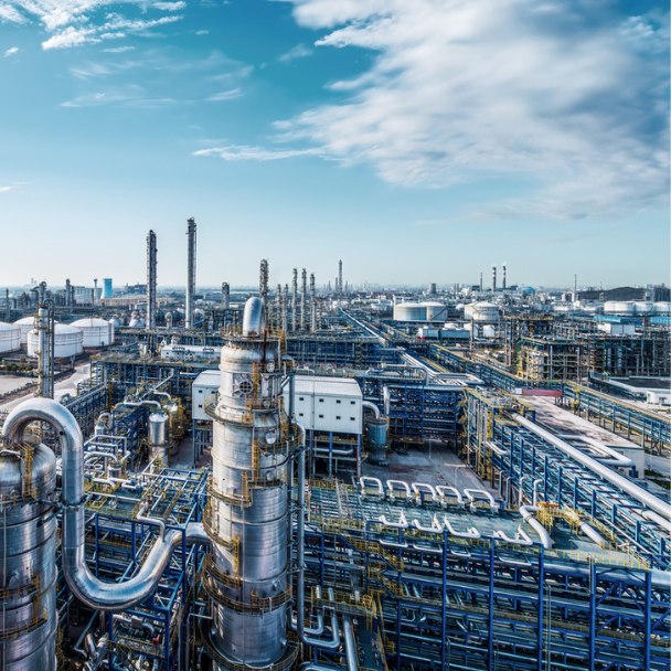 side by side section image 